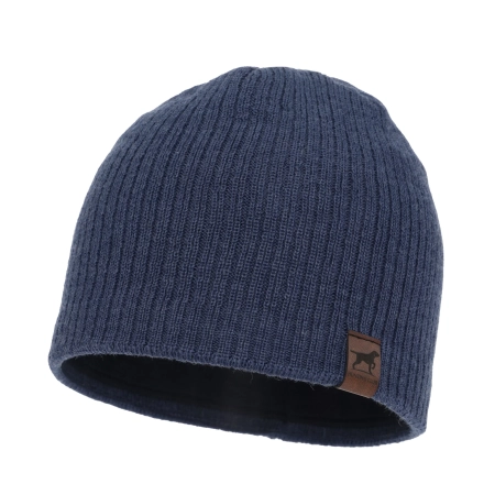 Czapka zimowa męska, niebieska, z wełną merino Bird-1