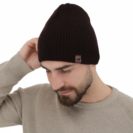 Czapka zimowa męska, brązowa, z wełną merino, Bird-3