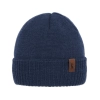Czapka zimowa męska, niebieska, z wełną merino, Hogan-1