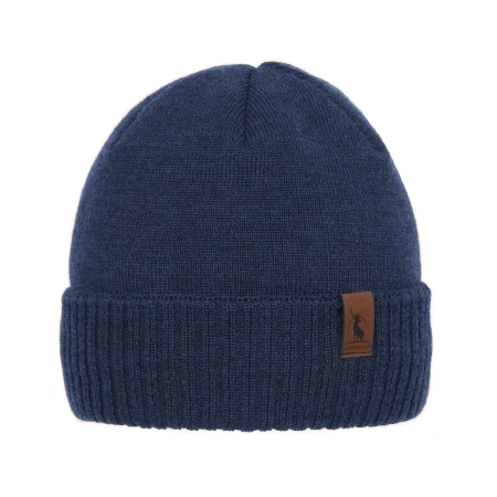 Czapka zimowa męska, niebieska, z wełną merino, Hogan-1